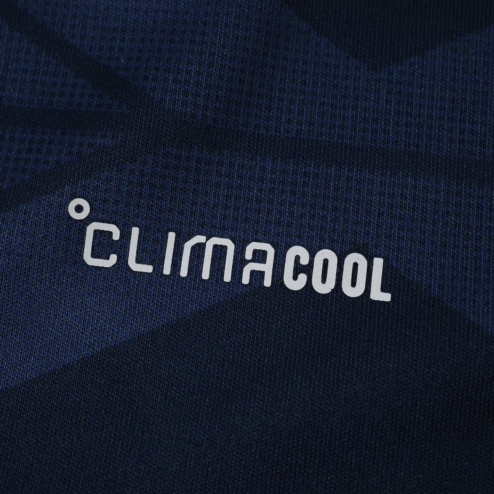 2026 Scotland Home Fan version