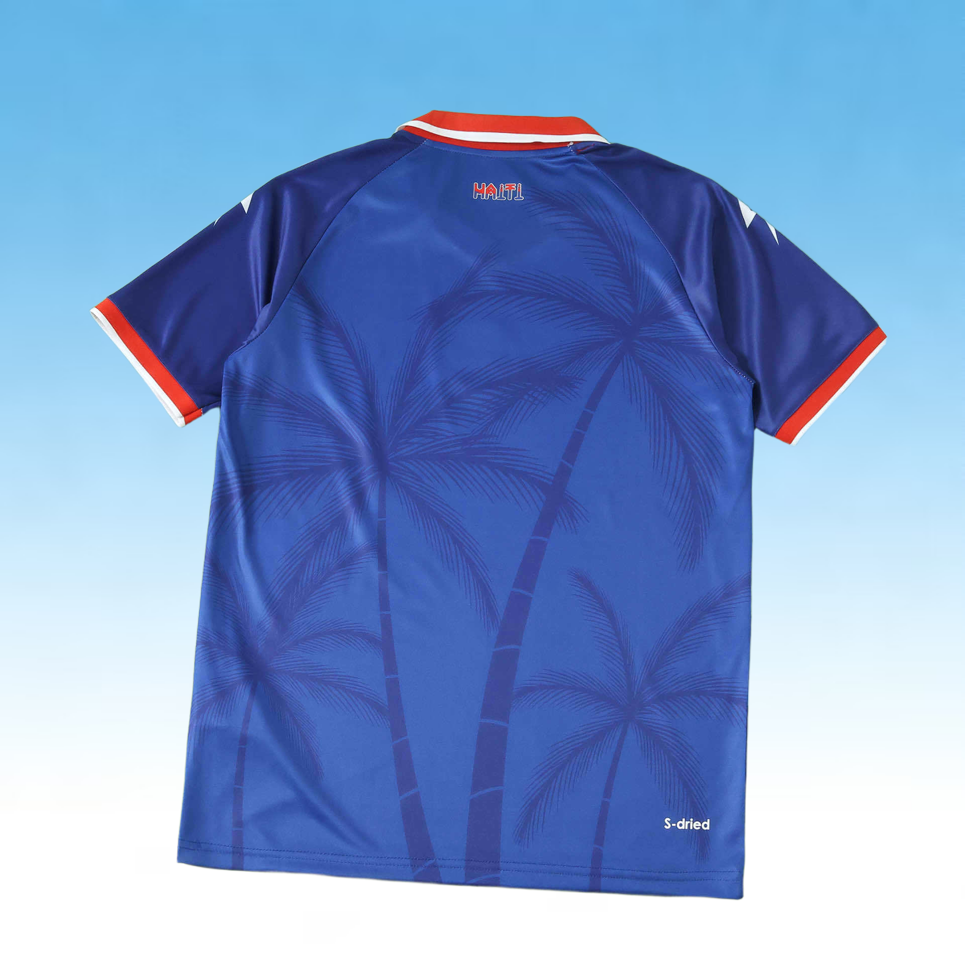2026 Haiti Home Fan version