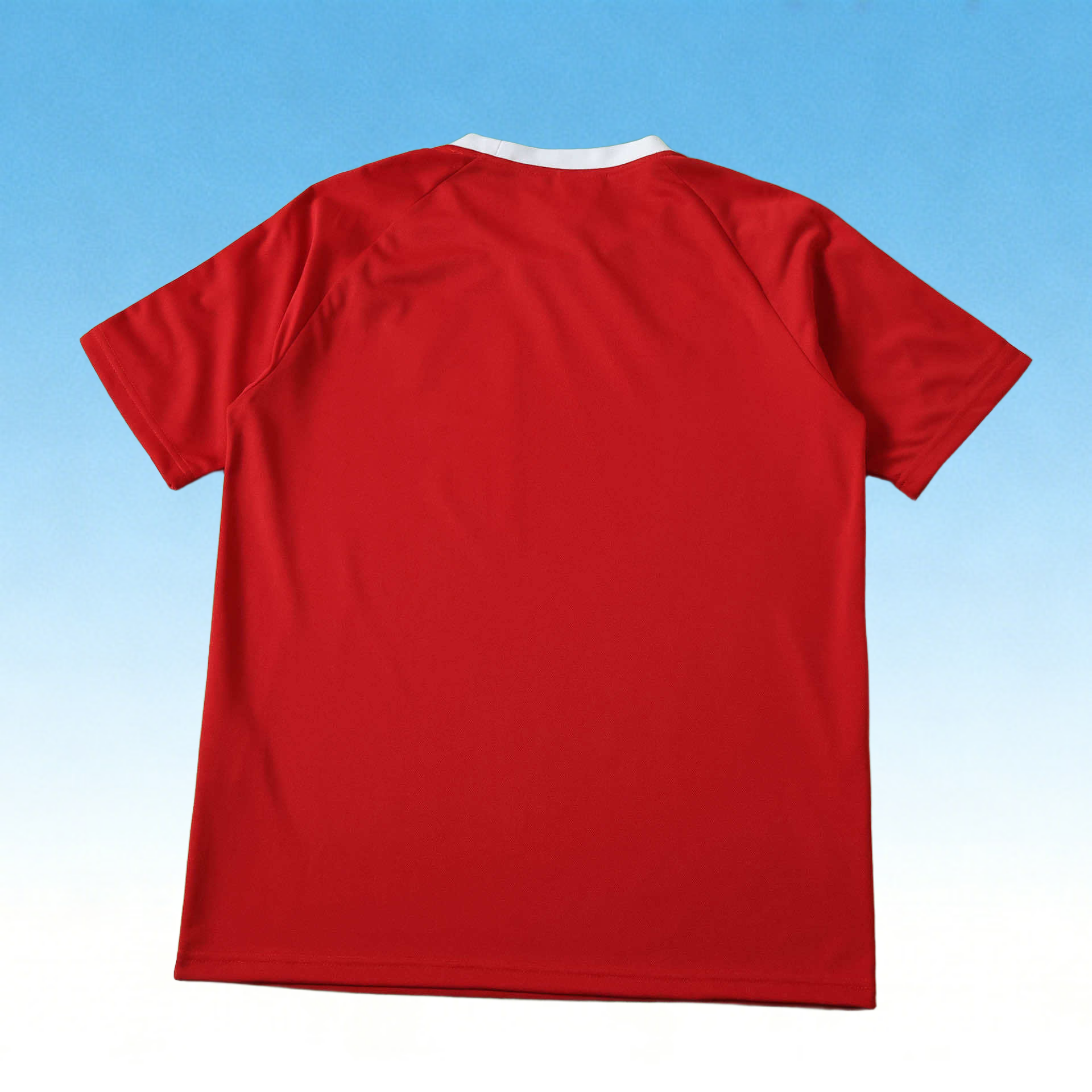 2627 Manchester United Casual T-shirt Fan version