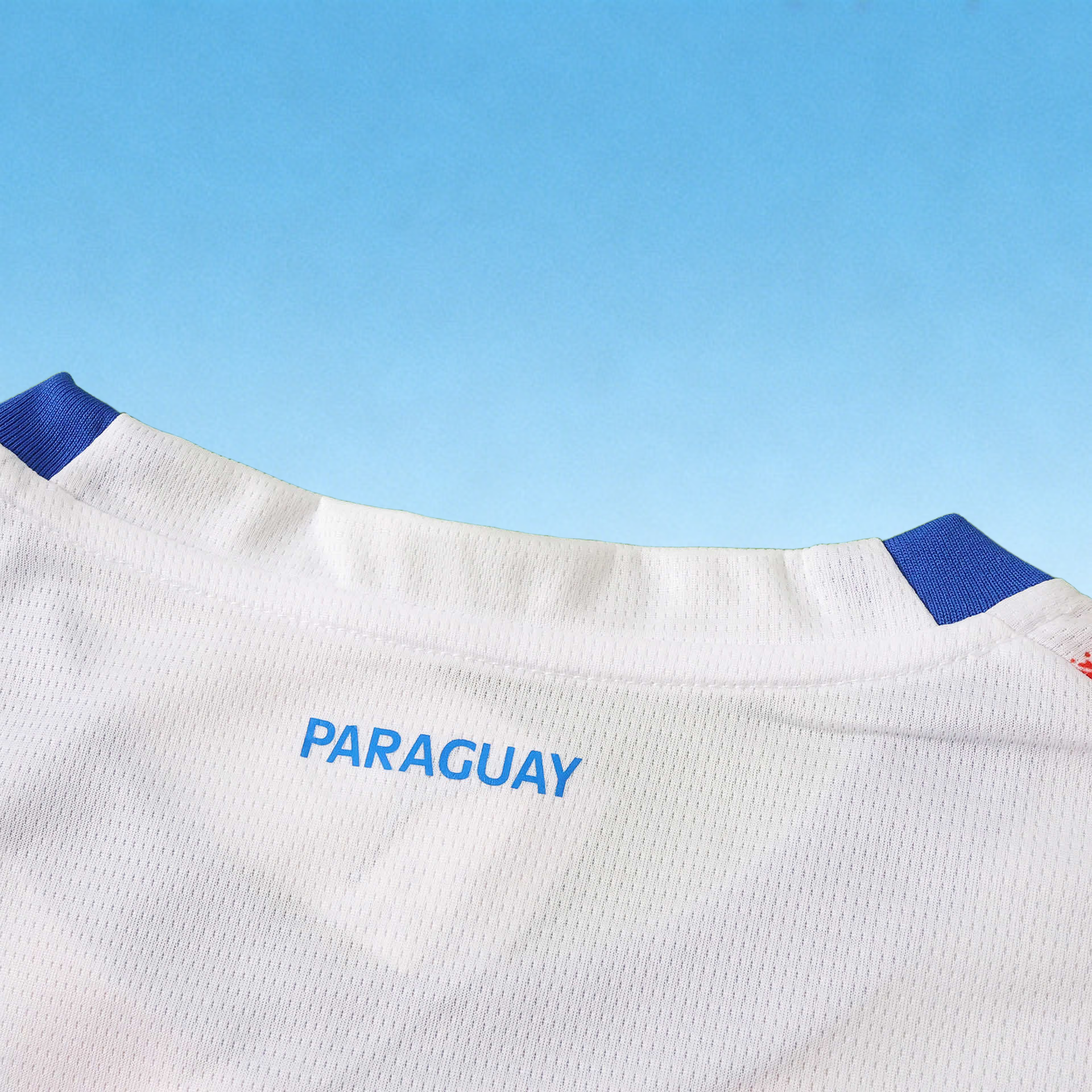 2026 Paraguay Home Fan version