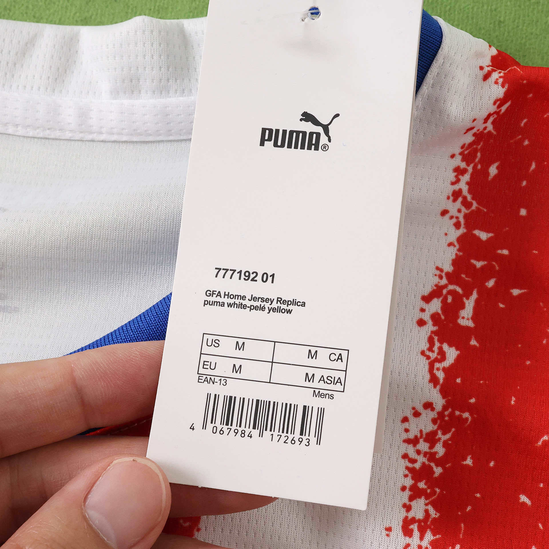 2026 Paraguay Home Fan version