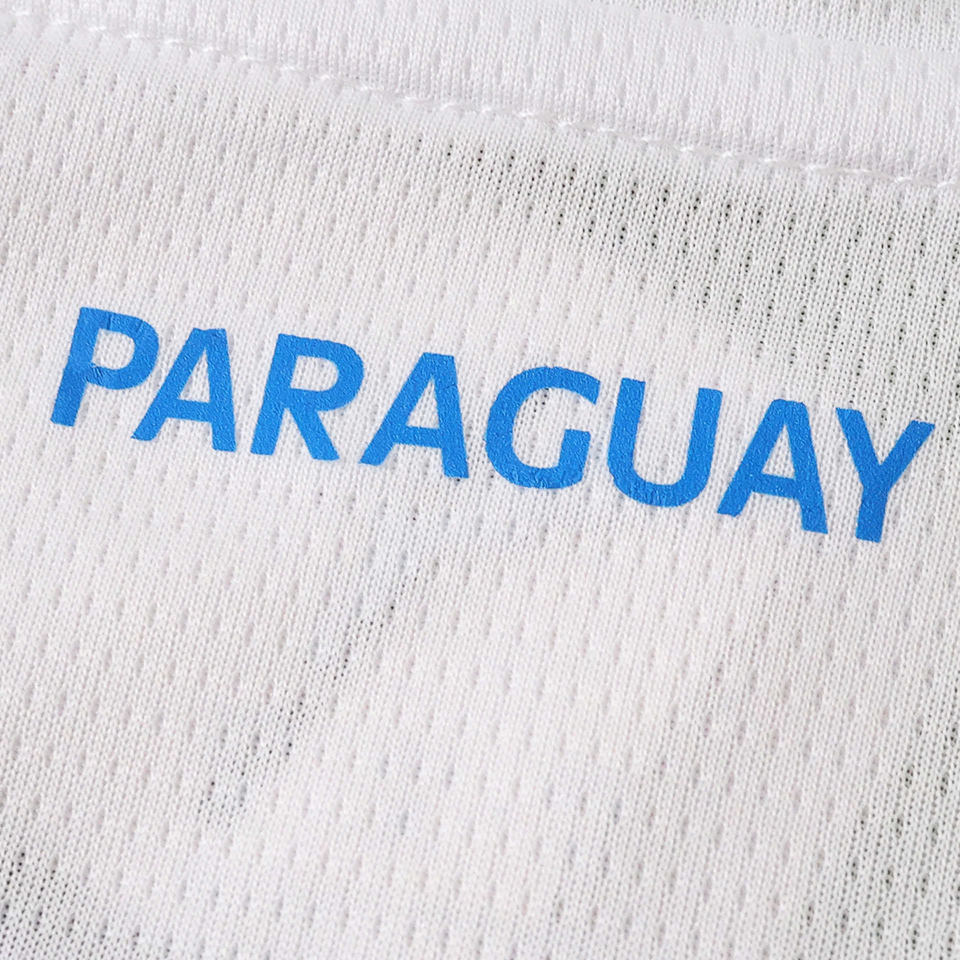 2026 Paraguay Home Fan version