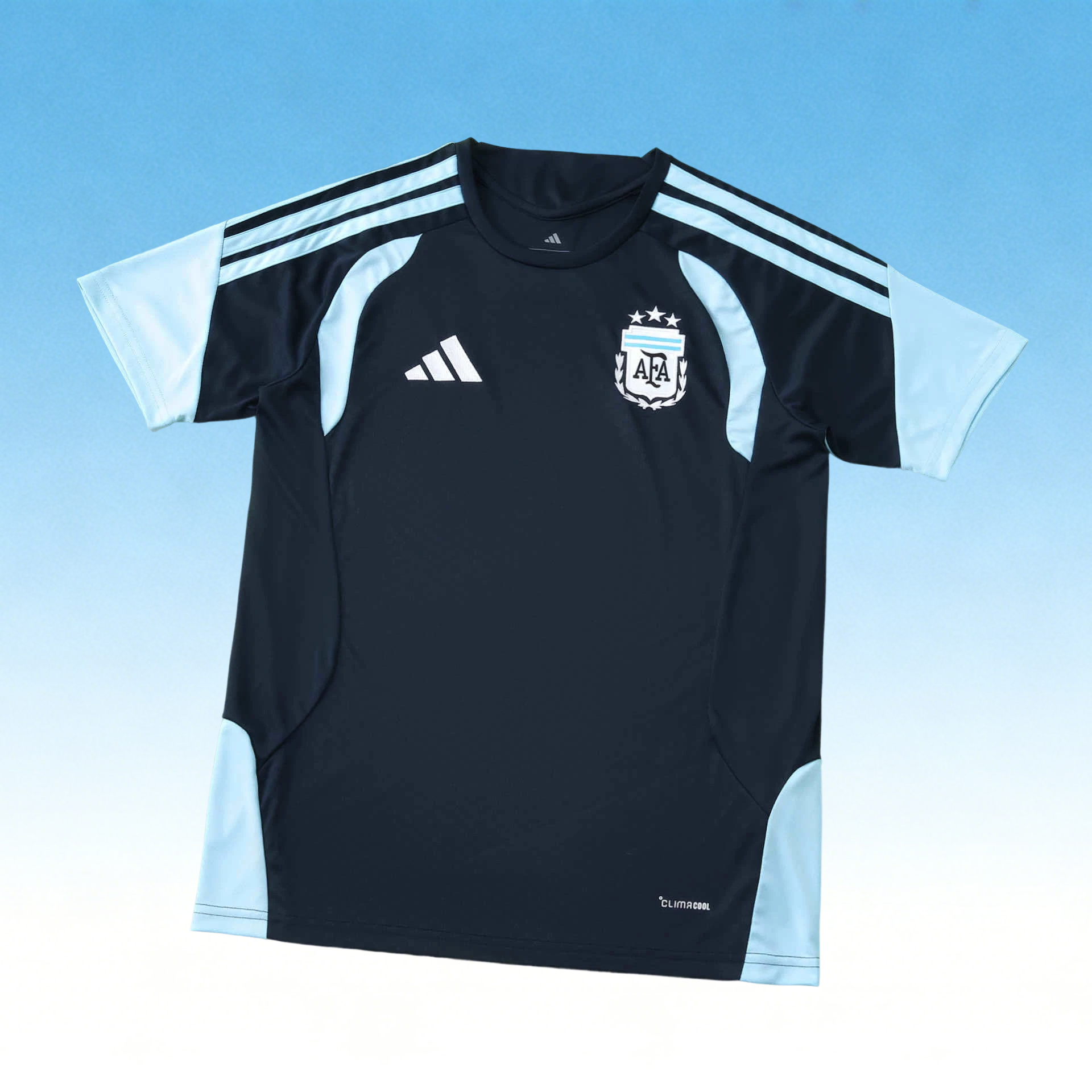 2026 Argentina Training Fan version