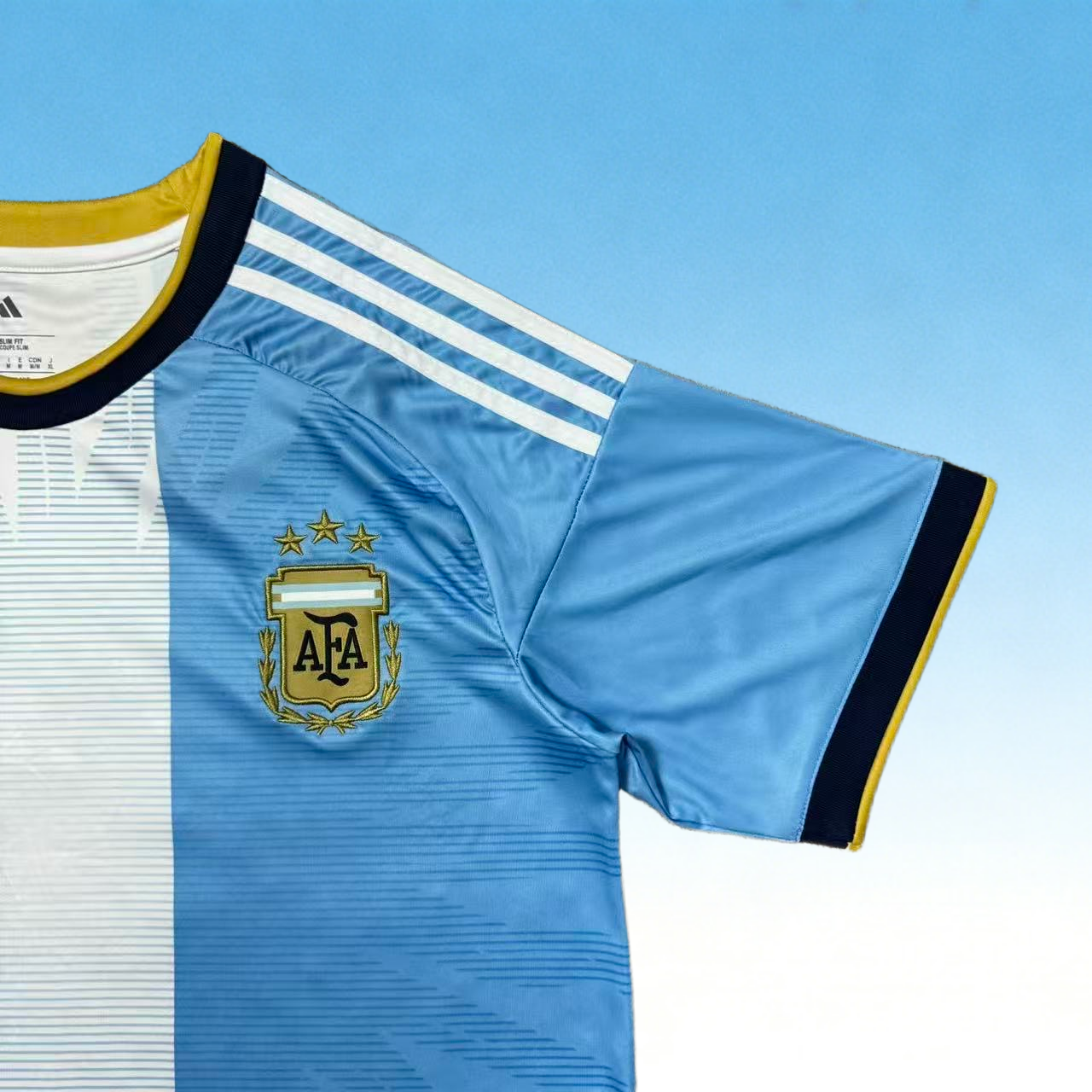 2026 Argentina Training Fan version