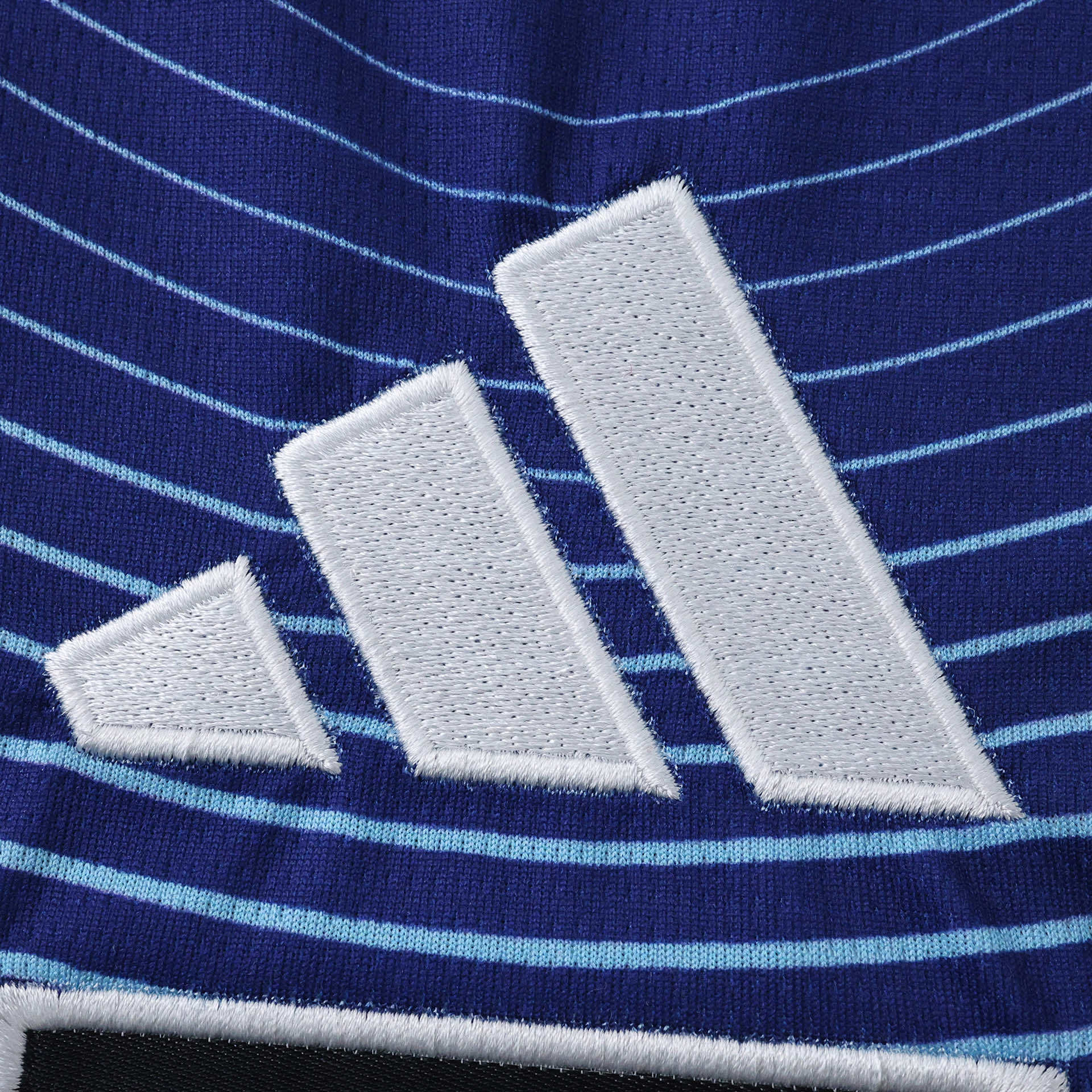 2026 Japan Home Long sleeve Fan version