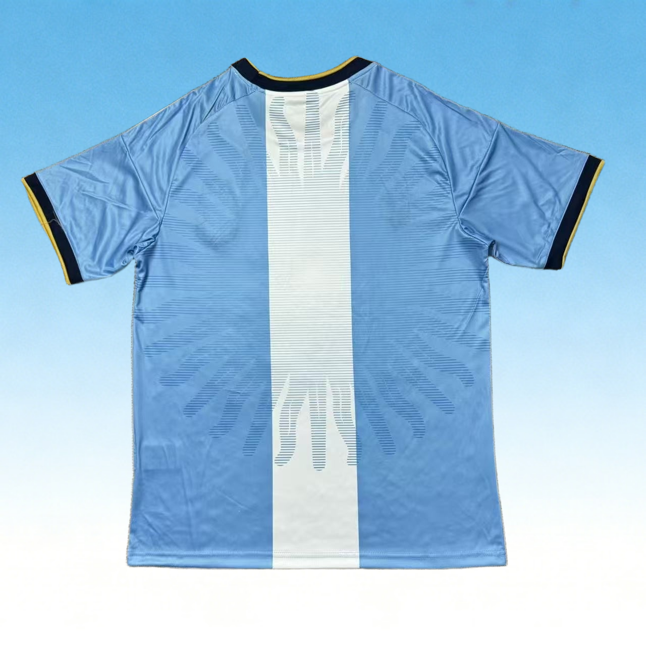 2026 Argentina Training Fan version