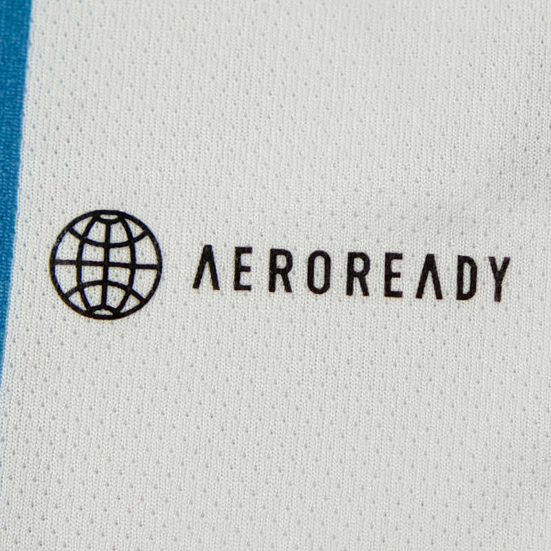 2022 Argentina Home Fan version