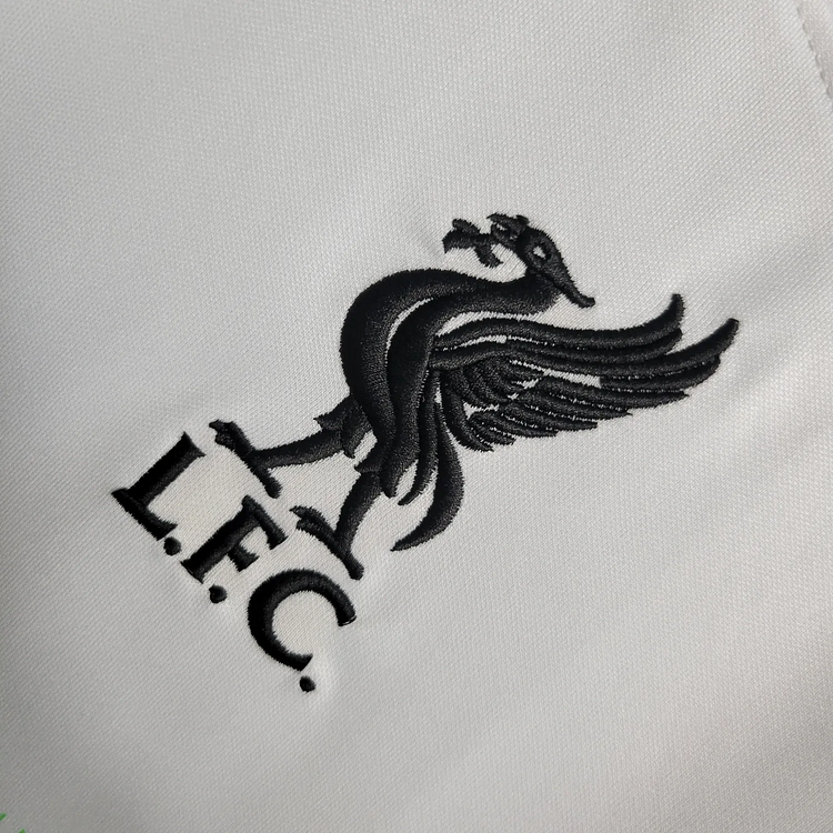 2023-24 Liverpool Away Football jersey