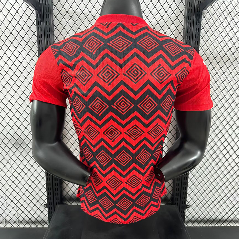 Player 2024-25 Egypt Special Edition Football jersey