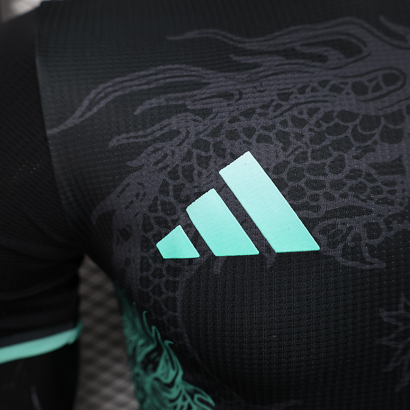Player 2025-26 Algeria Special Edition Football jersey