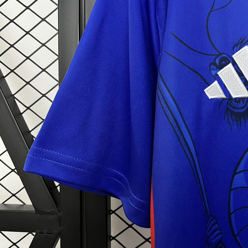 2024-25 Japan Special Edition Football jersey