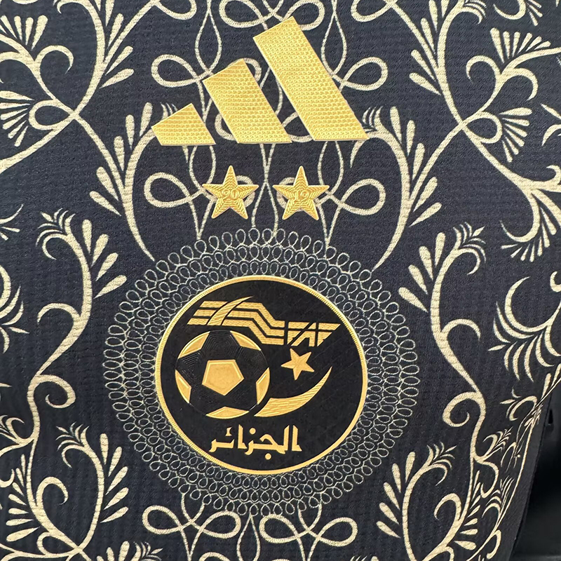Player 2024-25 Algerian 2 Away Football jersey