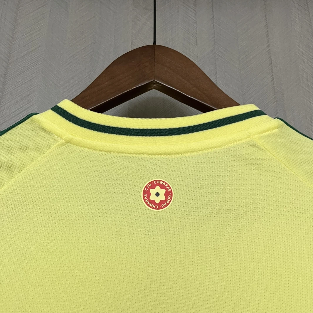 2024-25 Wales Away Football jersey