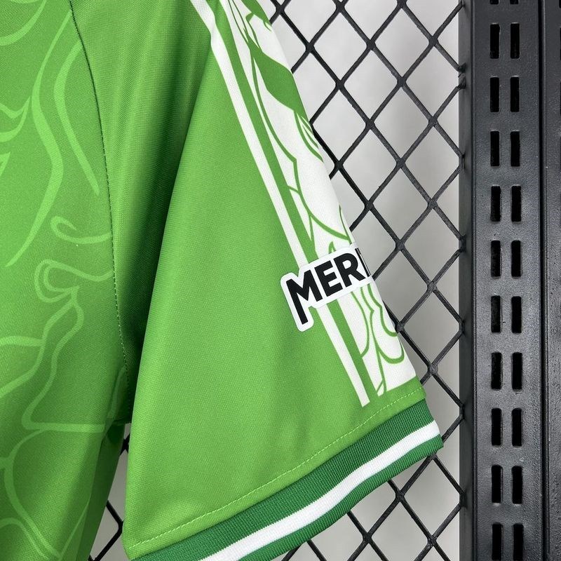 2025-26 Real Betis Especial Football jersey