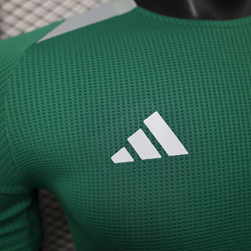 Player 2025-26 Algeria Special Edition Football jersey