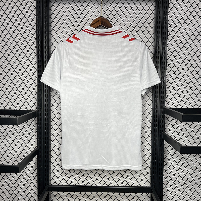 2024-25 Denmark Euro Away Football jersey