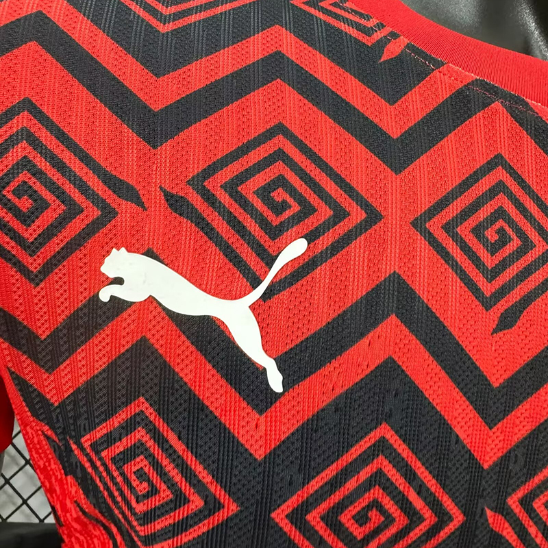 Player 2024-25 Egypt Special Edition Football jersey