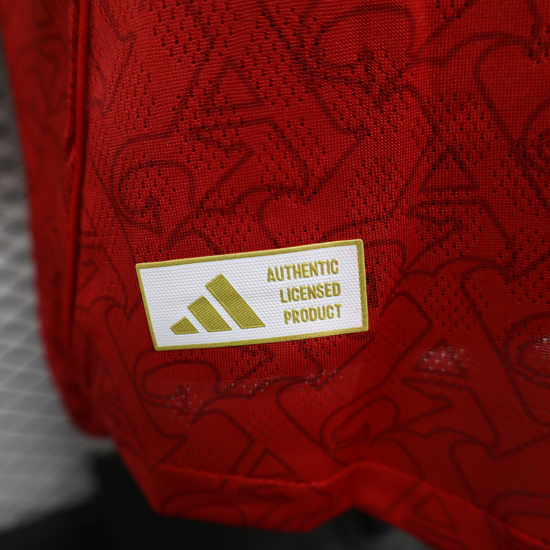 Player 2025-26 Arsenal Home Long Sleeve Football jersey