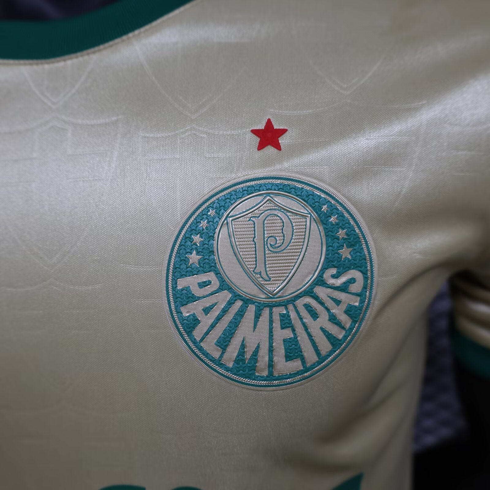 Players 2024-25 Palmeiras Away football jersey