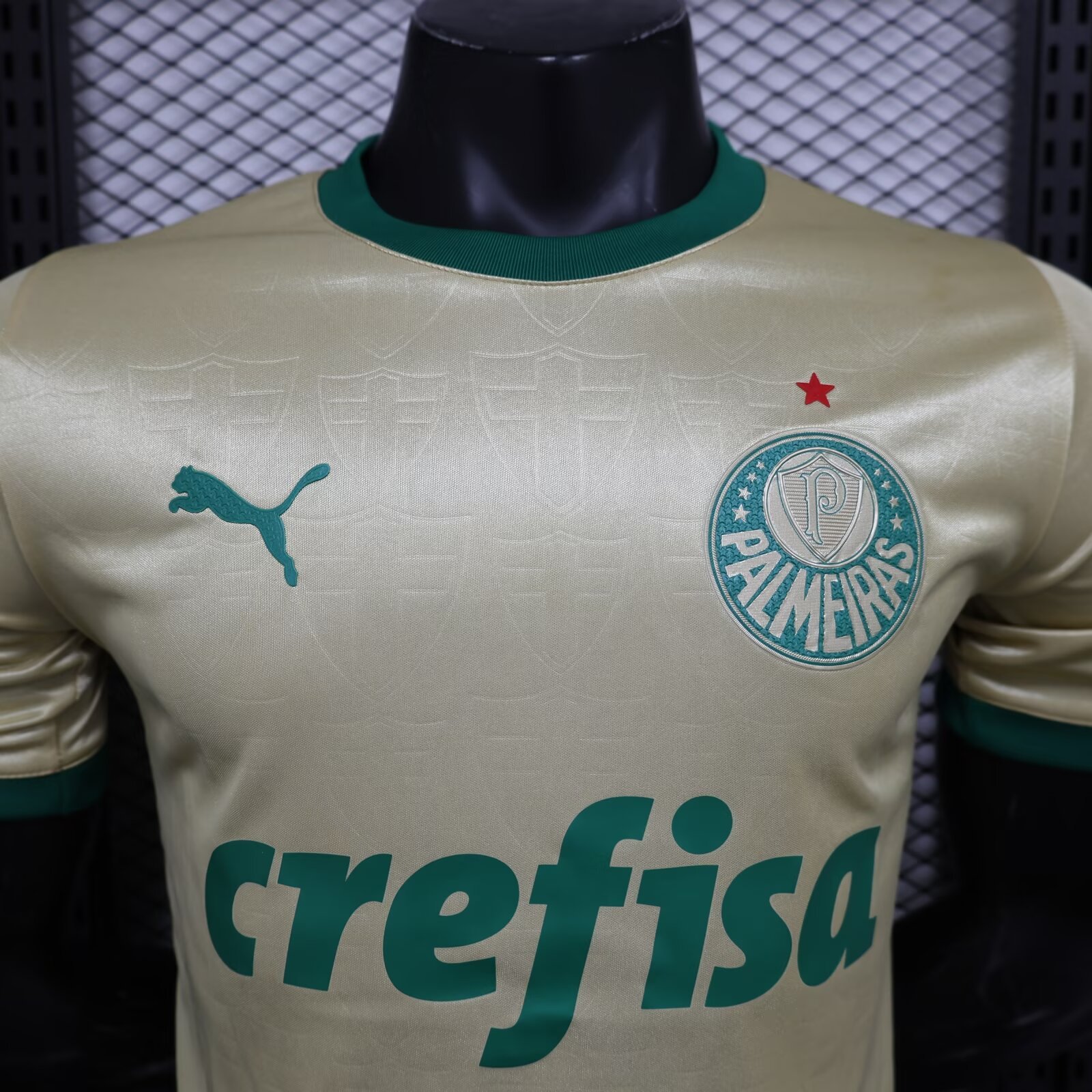 Players 2024-25 Palmeiras Away football jersey
