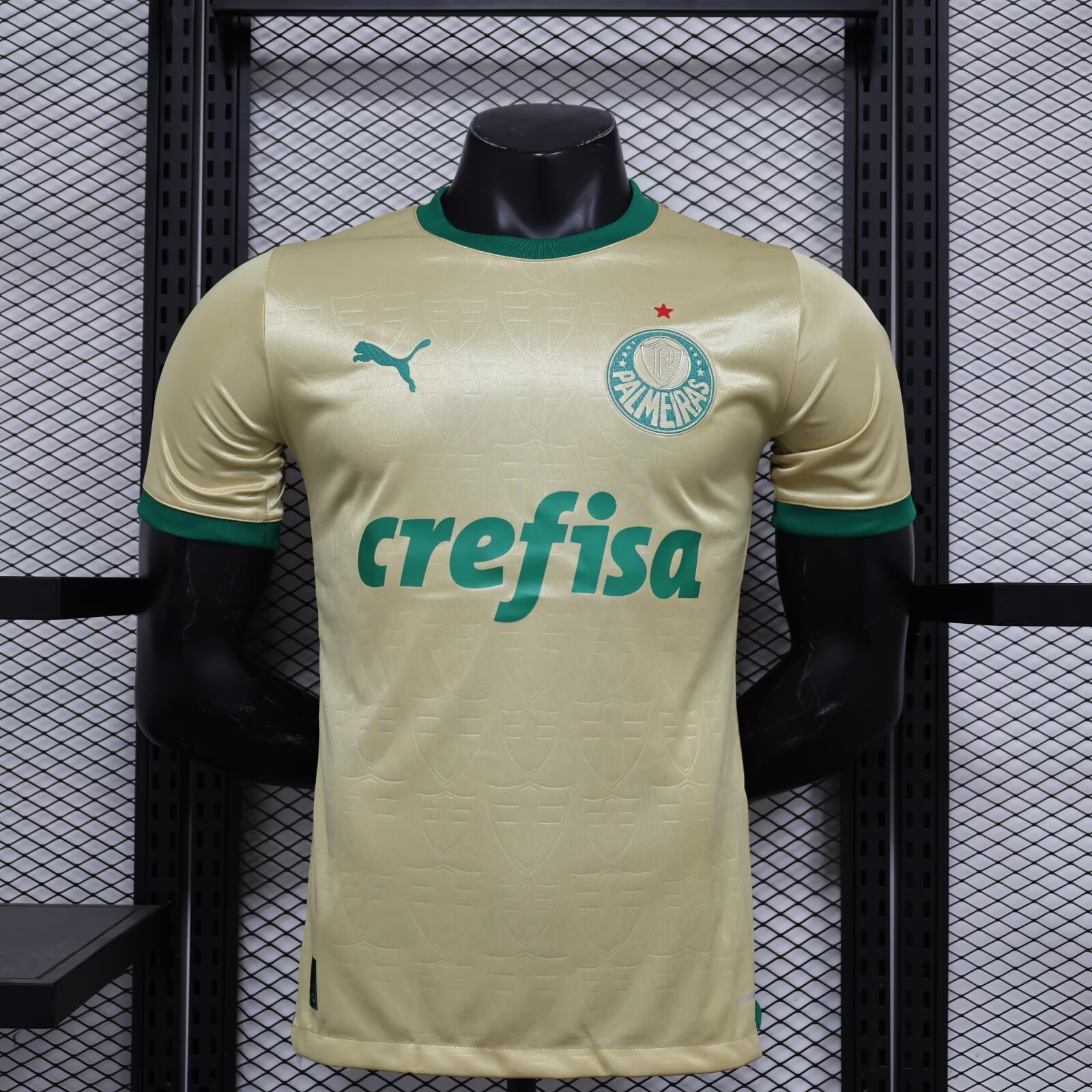 Players 2024-25 Palmeiras Away football jersey