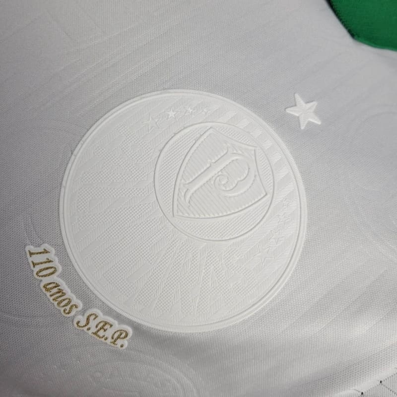 Player 24-25 Palmeiras Special Edition  football jersey