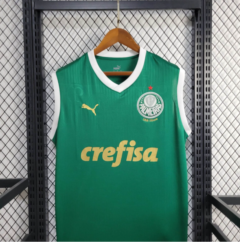 2024-25 Regata Palmeiras Home football jersey