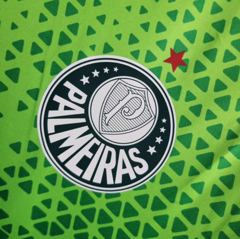 2024-25 Palmeiras Training football jersey