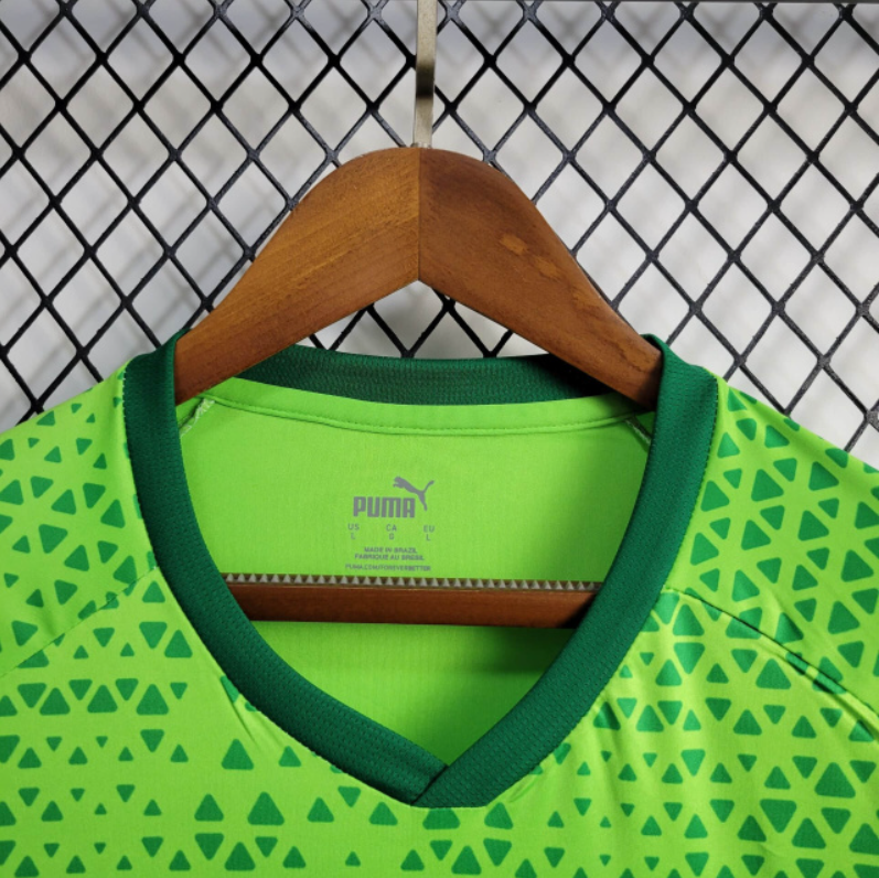 2024-25 Palmeiras Training football jersey