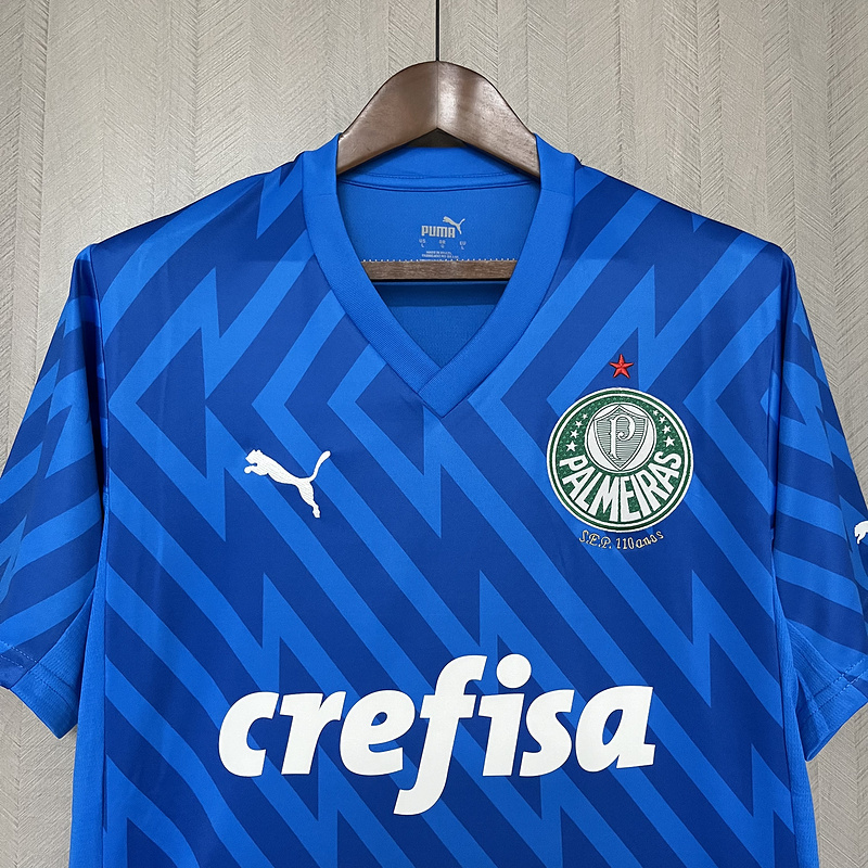 2024-25 Palmeiras Goalkeeper football jersey