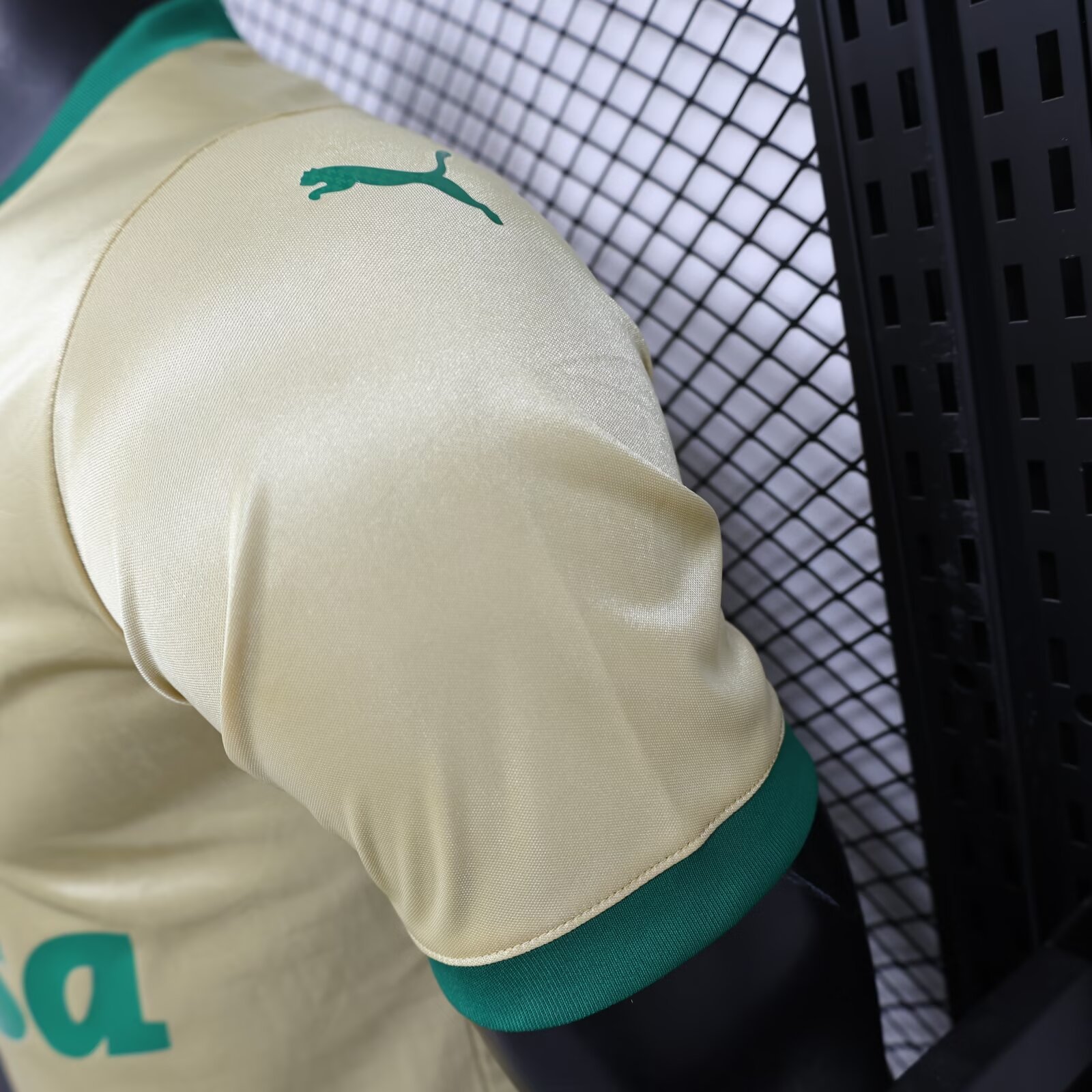 Players 2024-25 Palmeiras Away football jersey