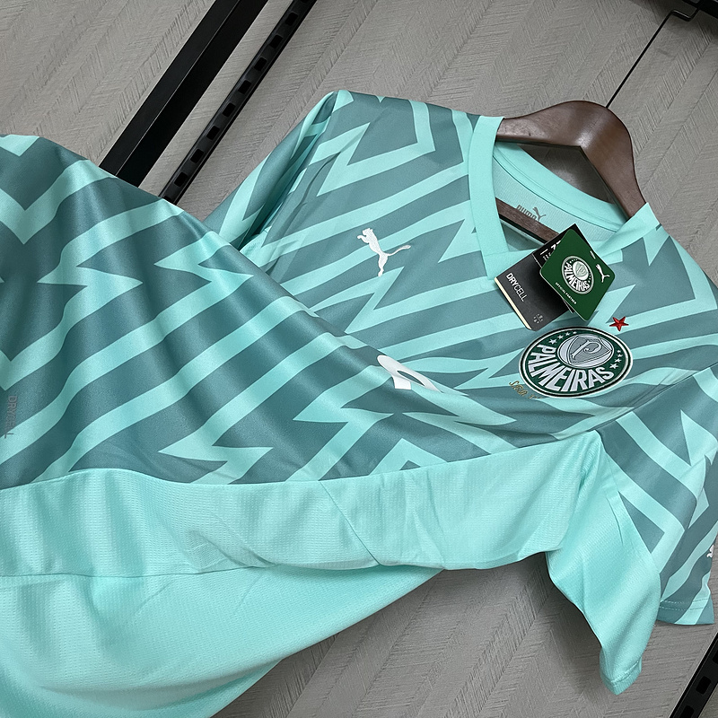 2024-25 Palmeiras Goalkeeper football jersey