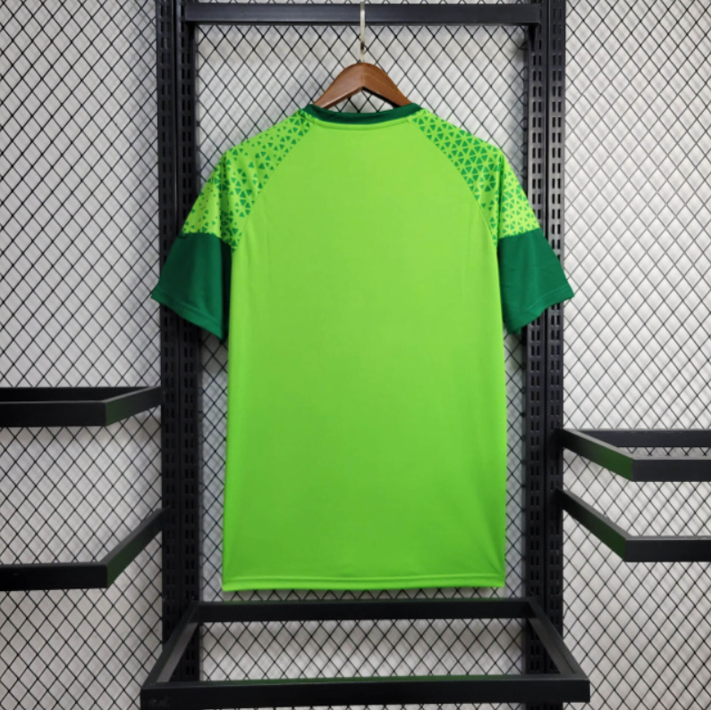 2024-25 Palmeiras Training football jersey