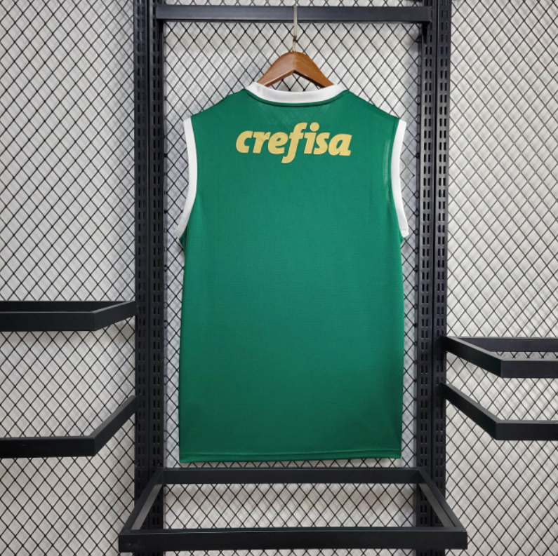 2024-25 Regata Palmeiras Home football jersey