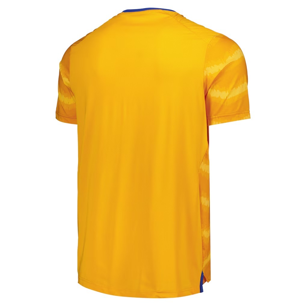 Everton FC 2026‑27 Third Replica Jersey Castore | Premier League