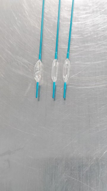 Balloon Dilatation Catheter,MY SHOP,Balloon Dilatation Catheter