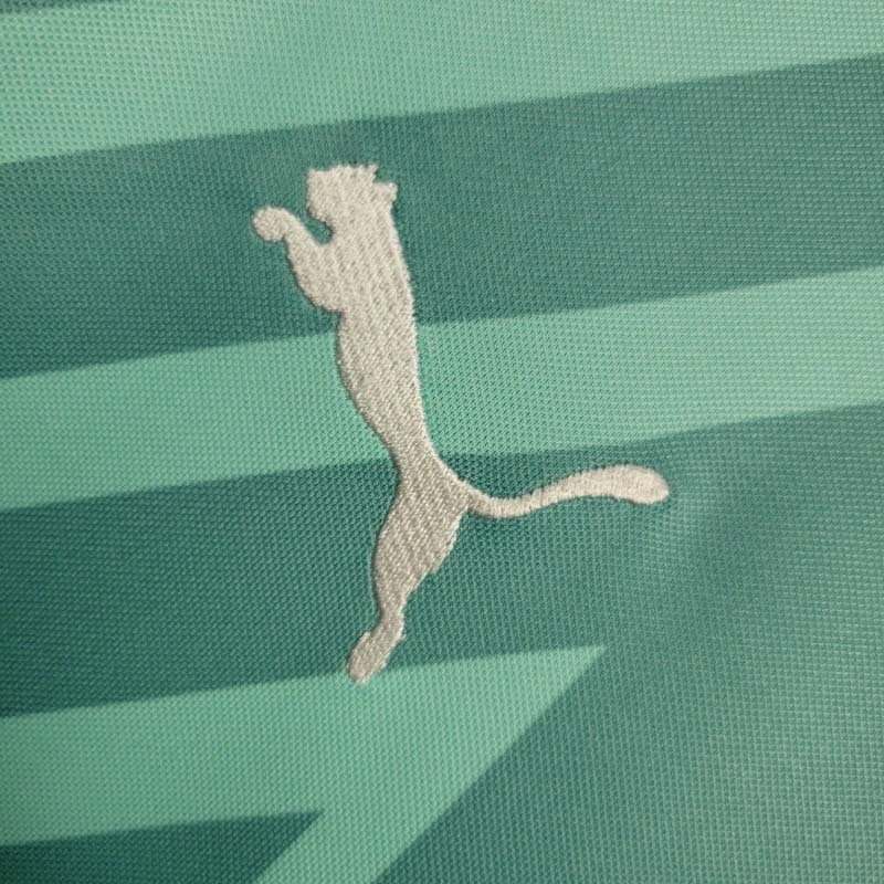 2024-2025 Palmeiras goalkeeper green Football Shirt 1:1 Thai Quality