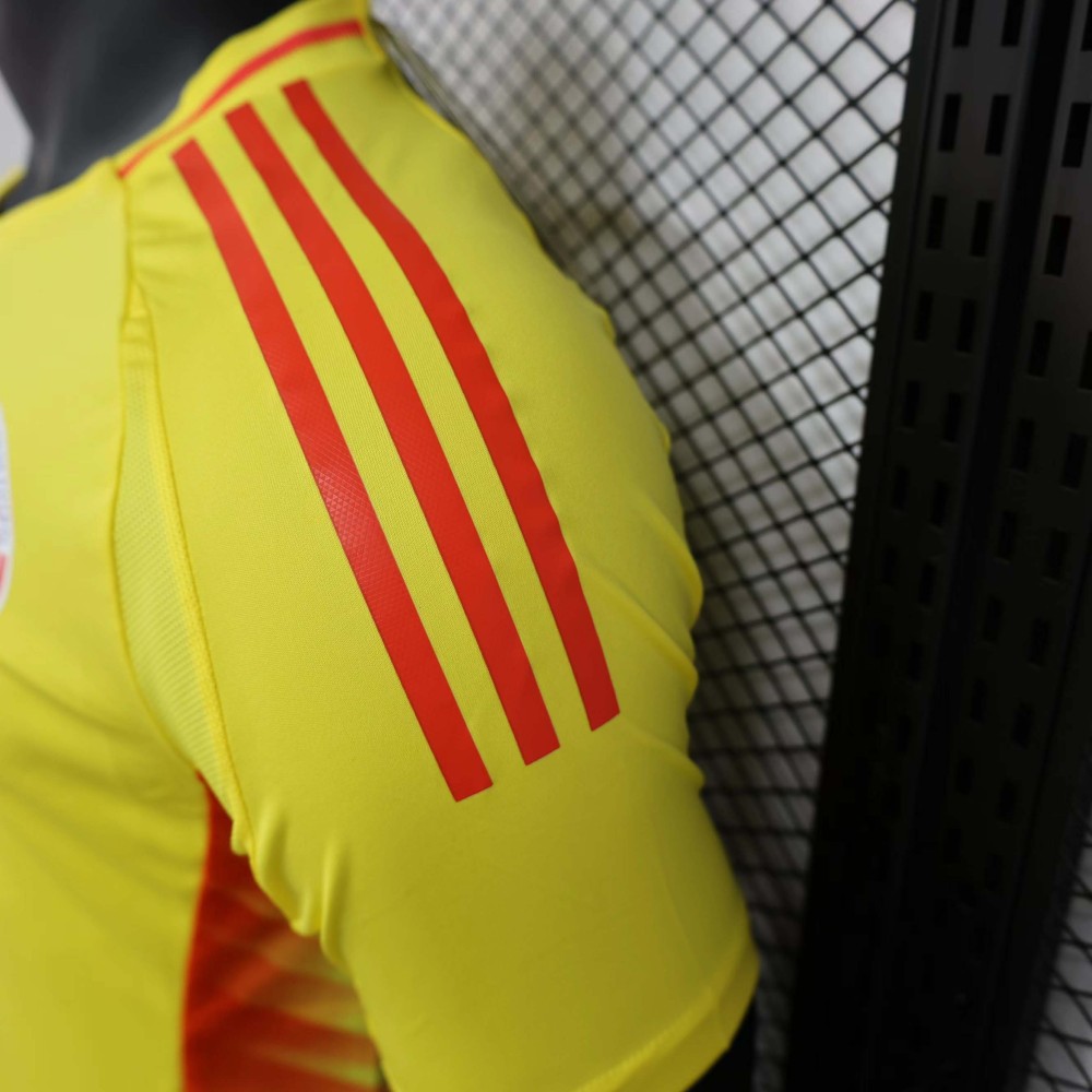2024 Player Colombia HomeFootball Shirt 1:1 Thai Quality