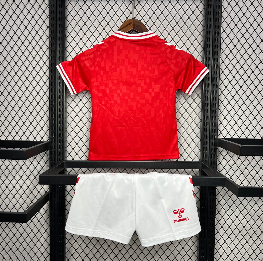 2024-2025 Denmark Kids Home Football Shirt 1:1 China Quality