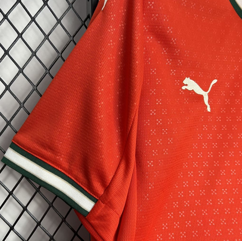 2025-2026  Portugal Home Football Home Football jersey Fan edition 1:1  China Quality