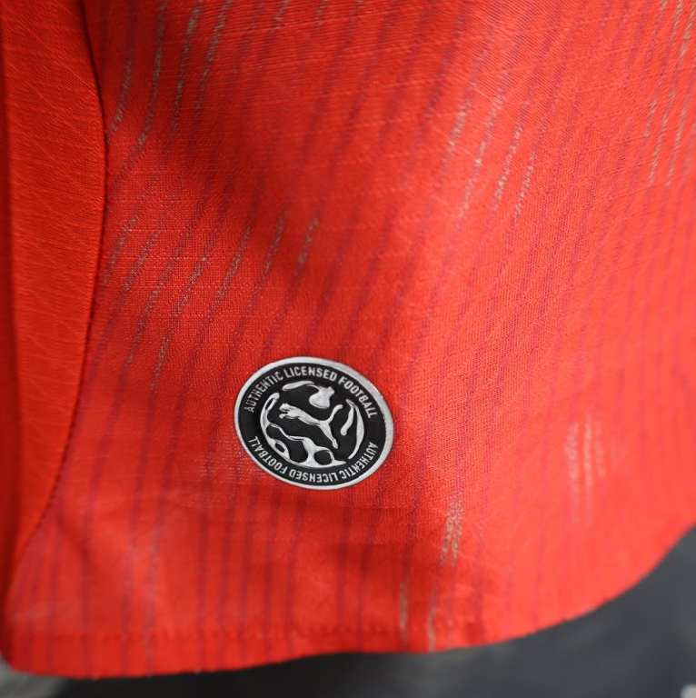 2026 Switzerland World cup Home Football jersey Player Edition 1:1  China Quality