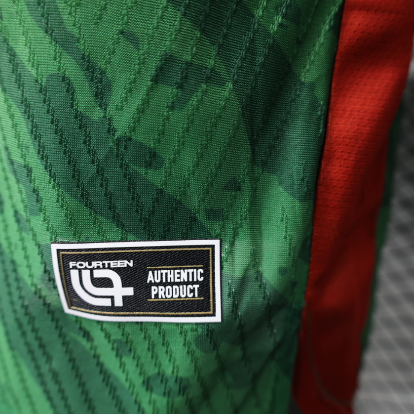 2025-2026  Cameroon Home Football jersey Player edition 1:1  China Quality