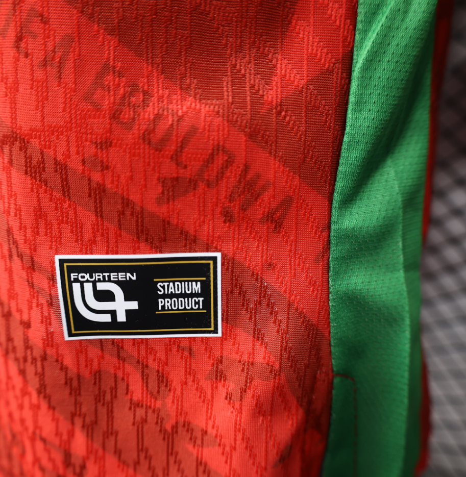 2025-2026  Cameroon Away Football jersey Player edition 1:1  China Quality