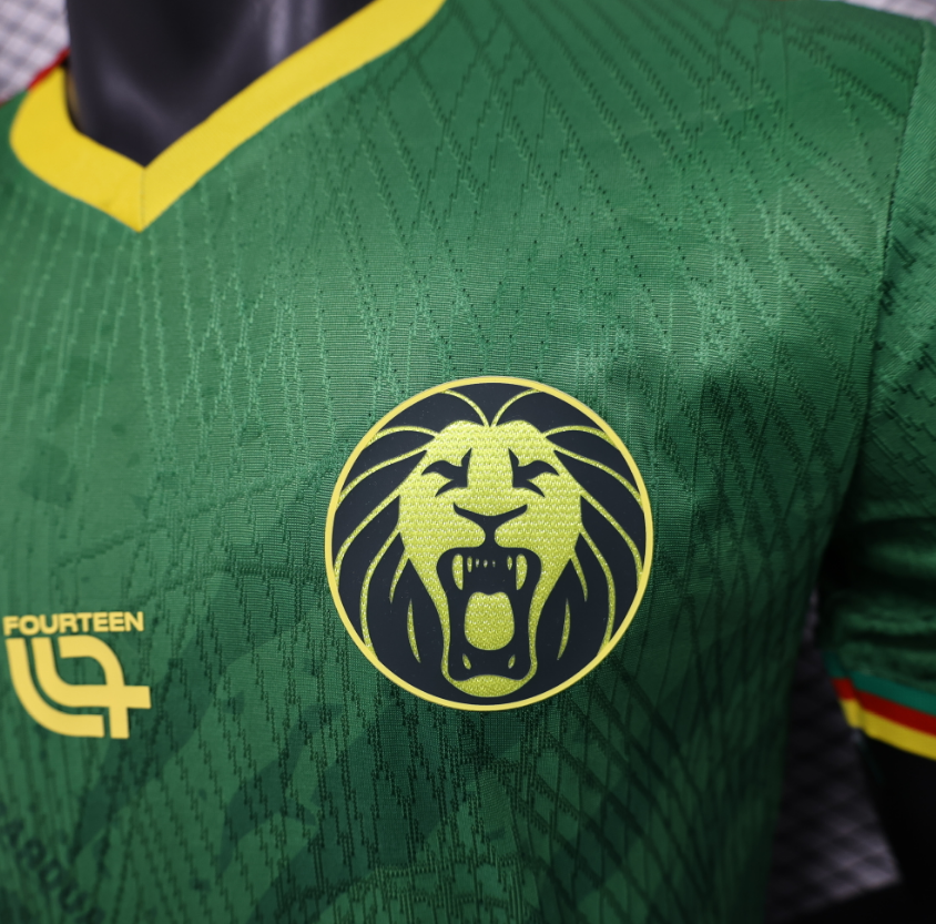 2025-2026  Cameroon Home Football jersey Player edition 1:1  China Quality