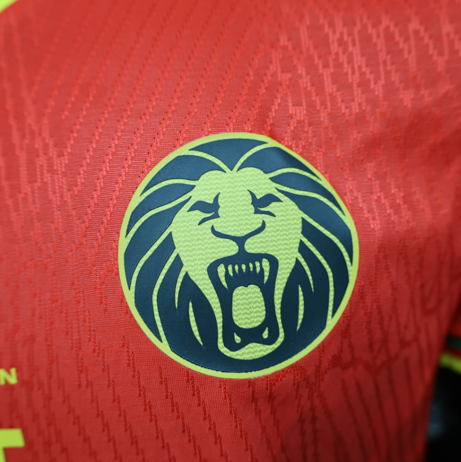 2025-2026  Cameroon Away Football jersey Player edition 1:1  China Quality