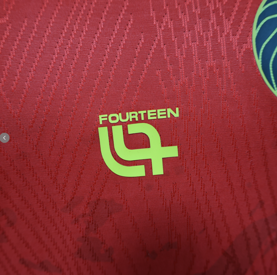 2025-2026  Cameroon Away Football jersey Player edition 1:1  China Quality