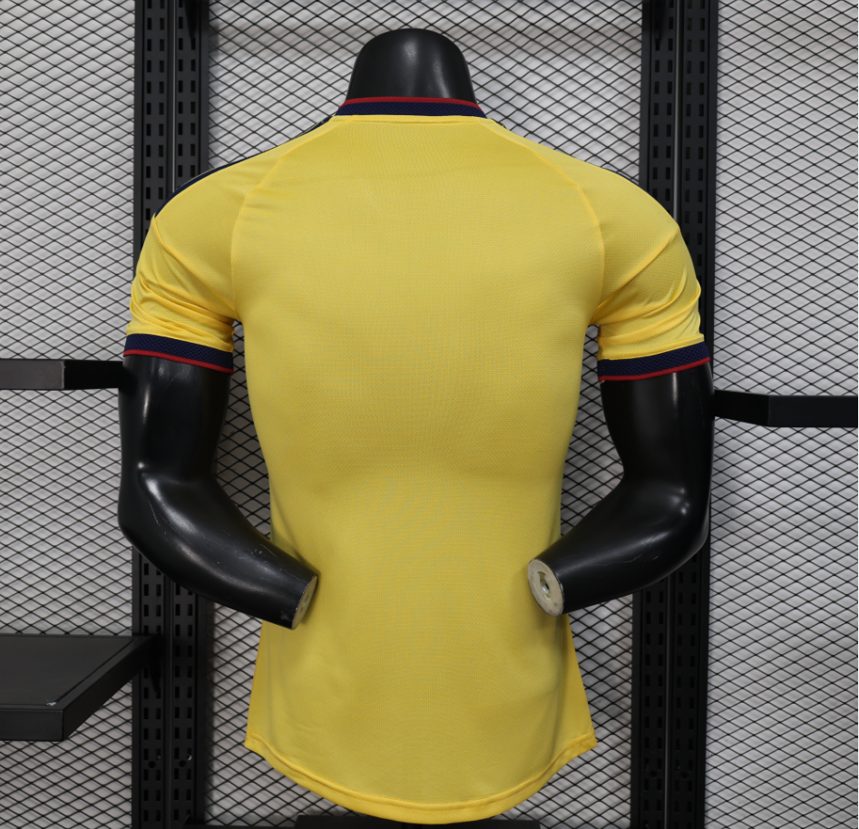 2026 World Cup Colombia Special Edition Football Jersey Player Edition 1:1  China Quality