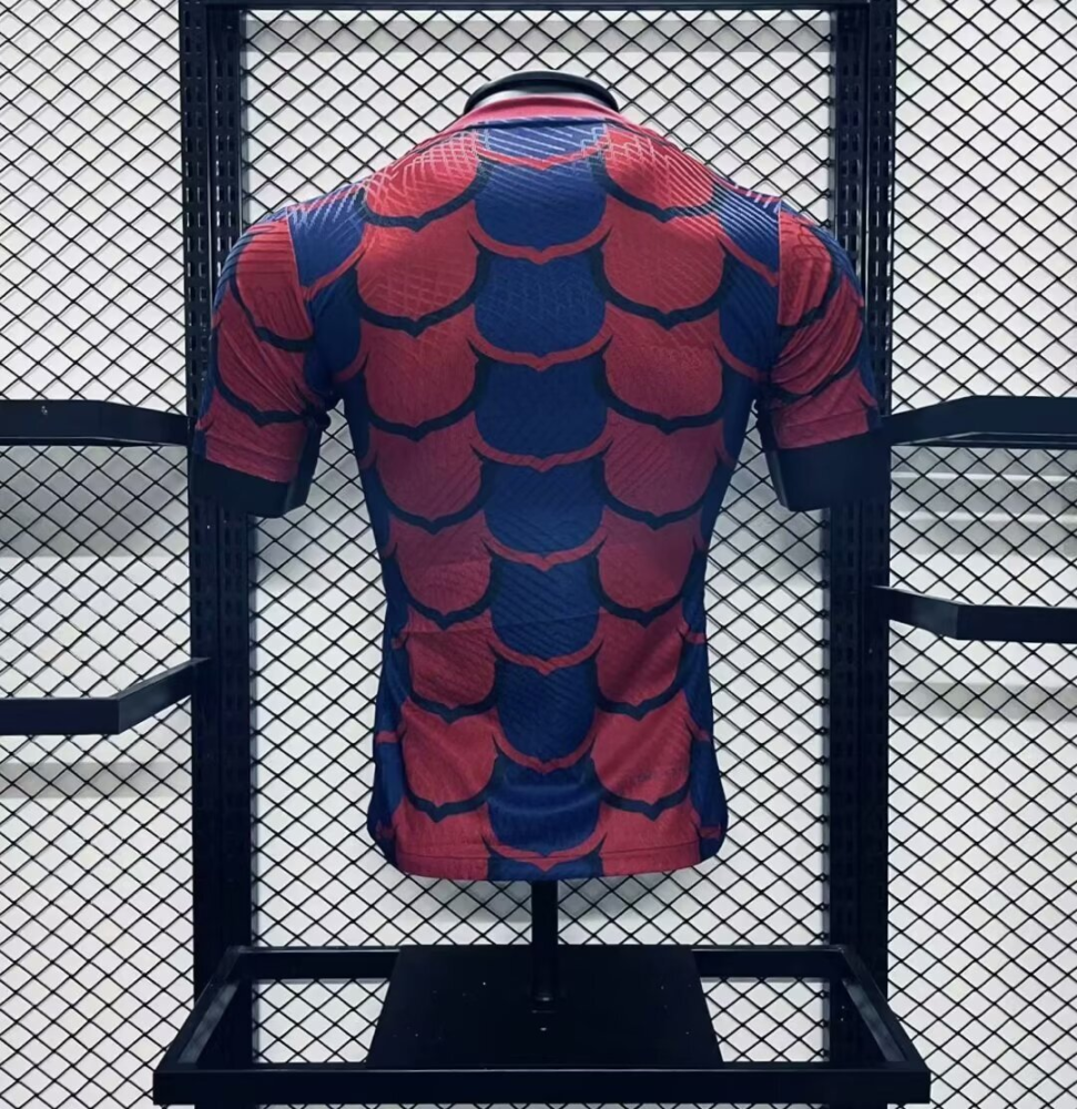 2024-2025 Barcelona Special Edition Jersey Player Version1:1  China Quality
