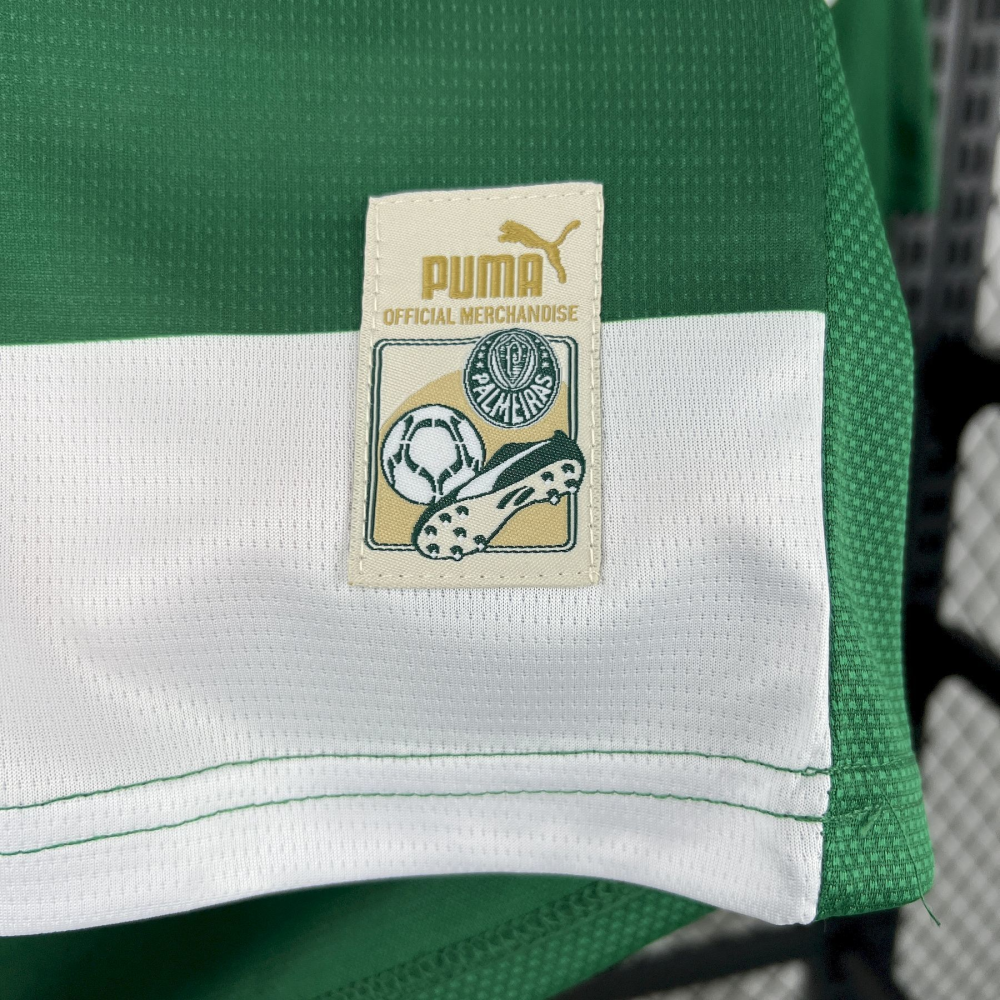 2025-2026 Palmeiras Club Mens Special Jersey Fan version 1:1 China Quality