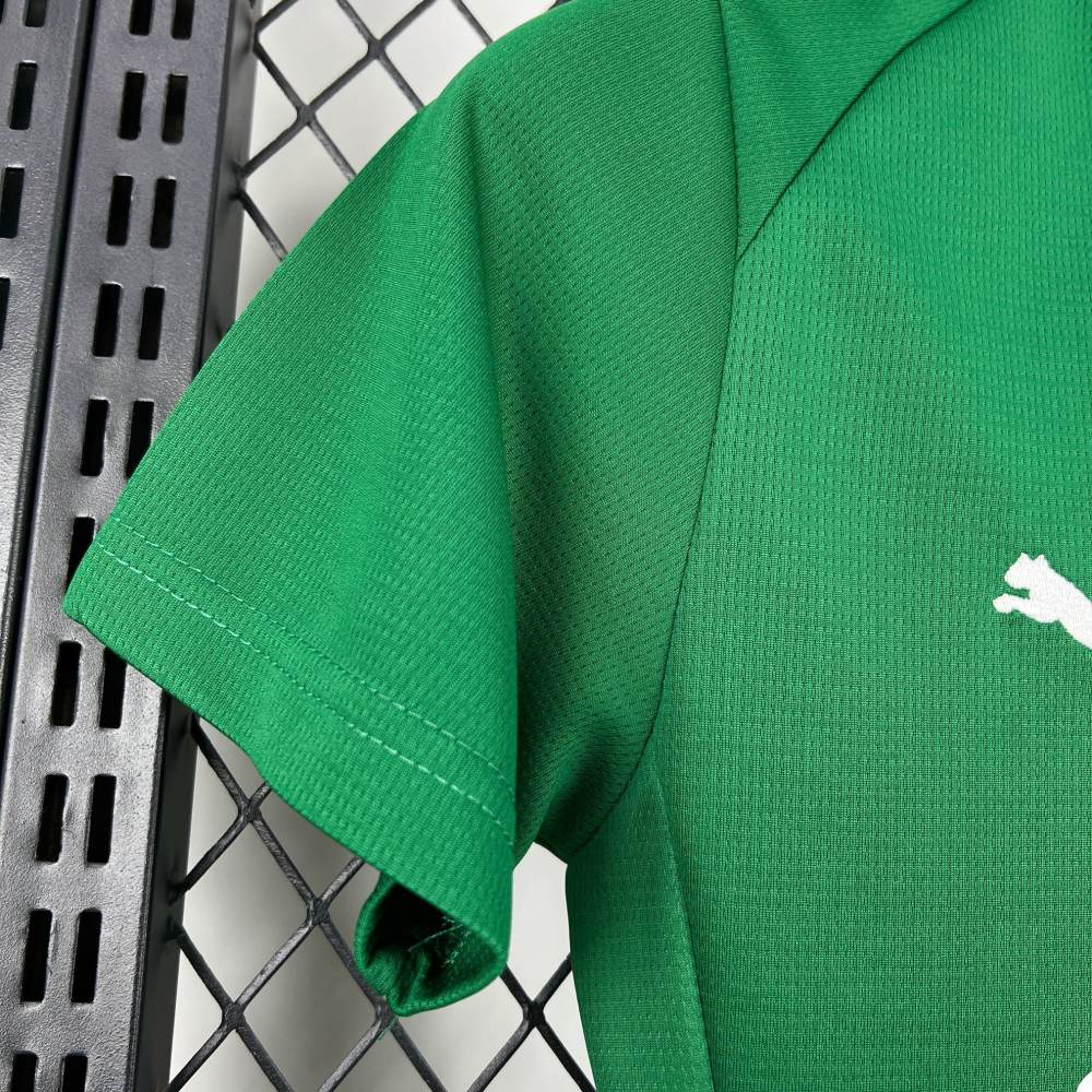2026-2027 Palmeiras Club Womens Home Jersey Fan version 1:1 China Quality